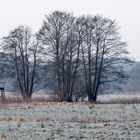 Frostiges Winterwetter