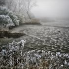 frostiges Wümme-Ufer im Nebel