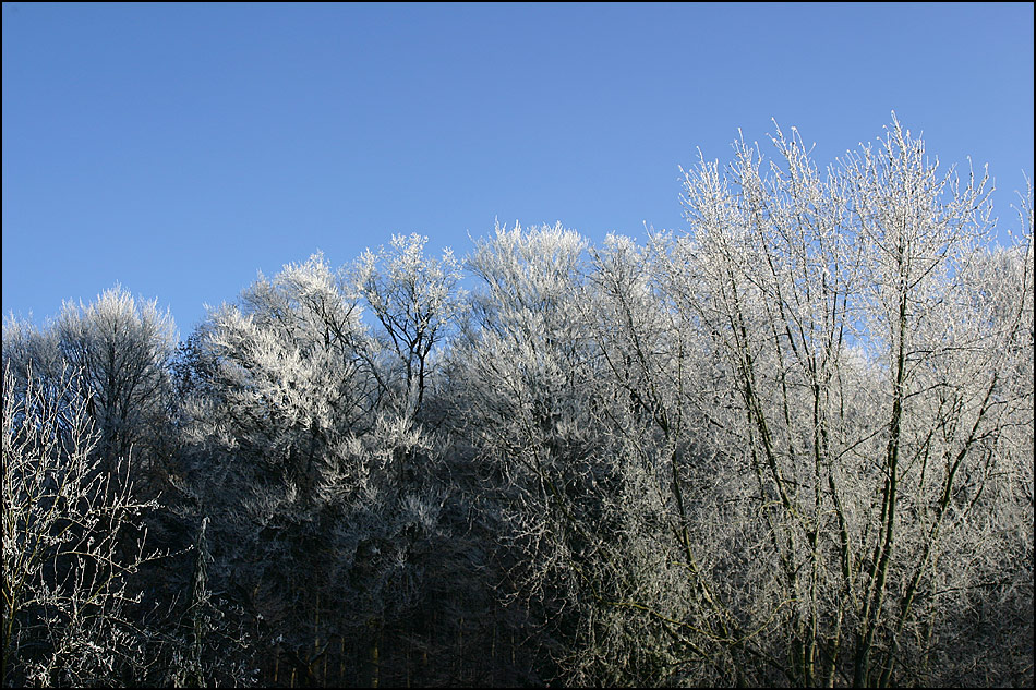 Frostigezeiten