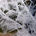 Frostkristalle am Spinnnetz