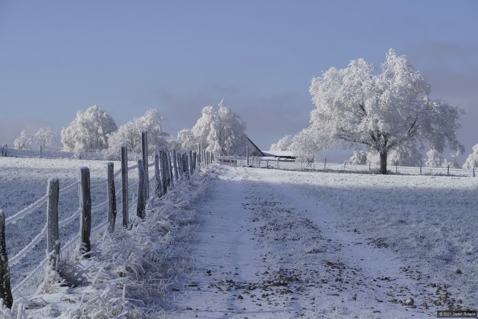 Frostlandschaft # 03