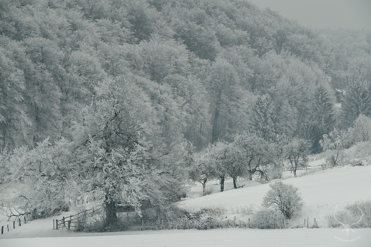 Frostlandschaft