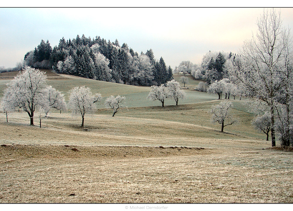 Frostlandschaft