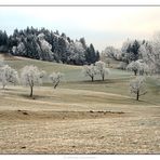 Frostlandschaft