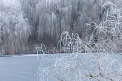 Frostlandschaft 