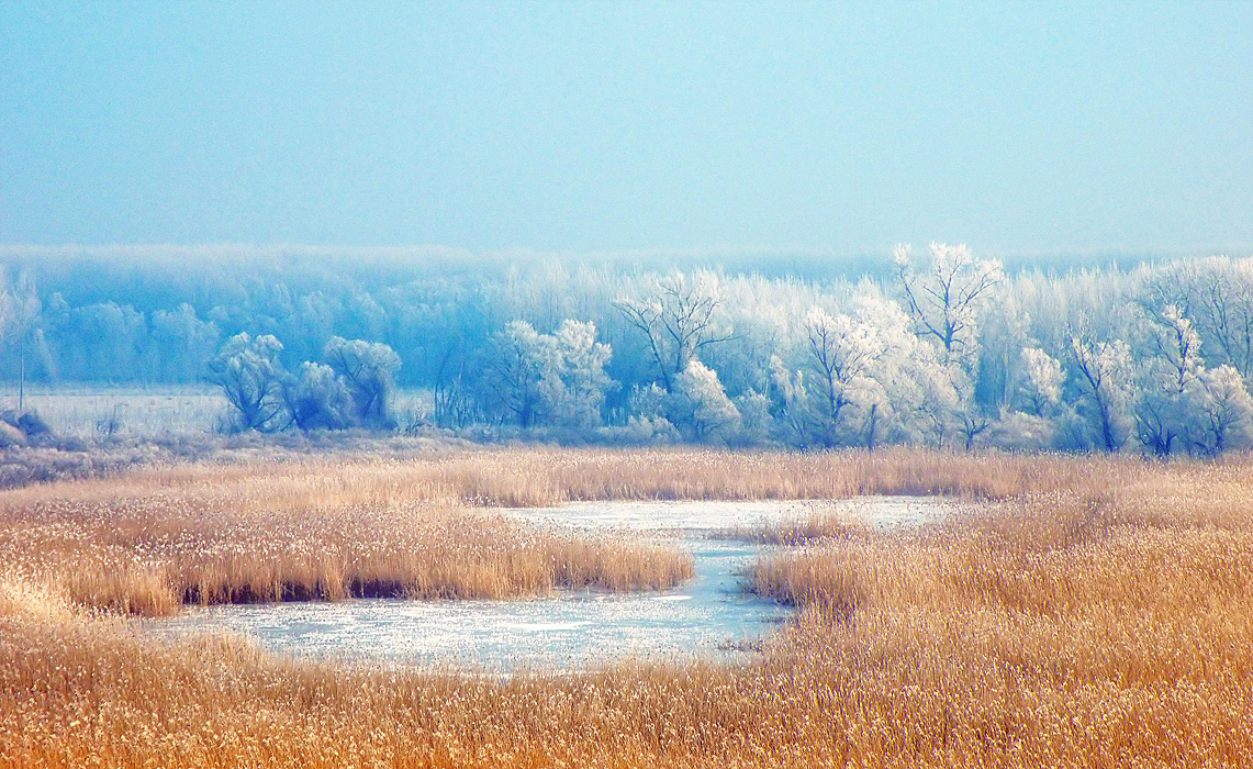 Frostlandschaft