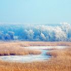 Frostlandschaft