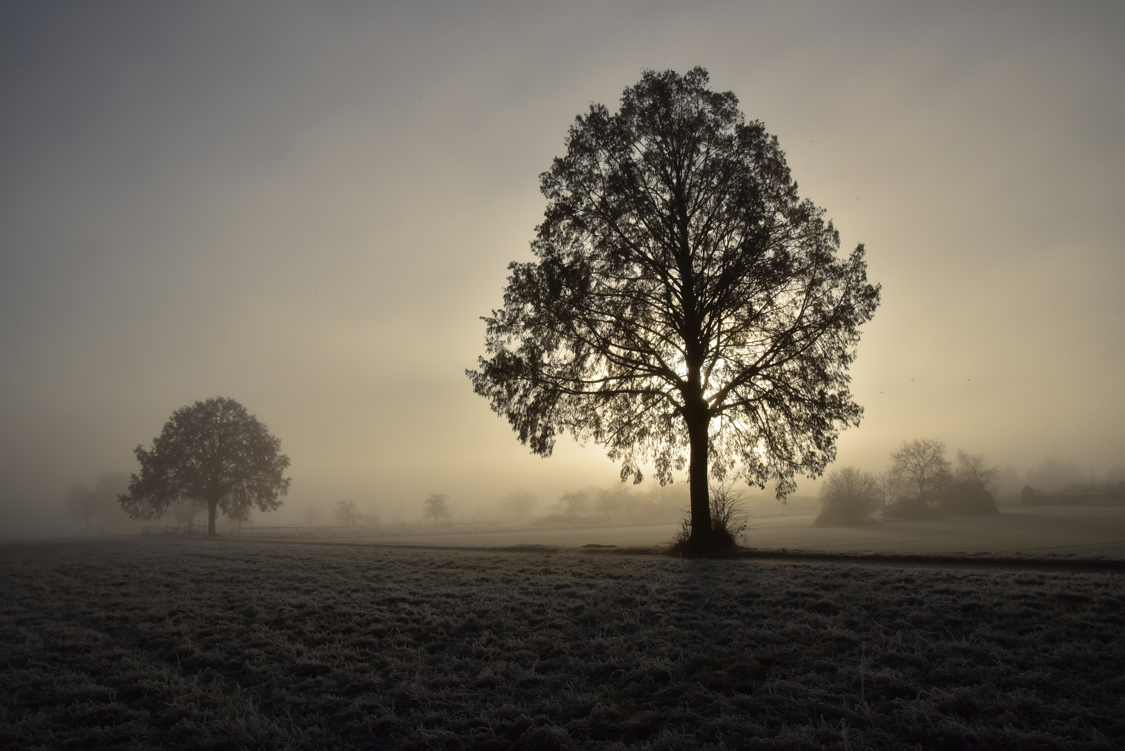 Frostlandschaft