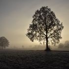 Frostlandschaft