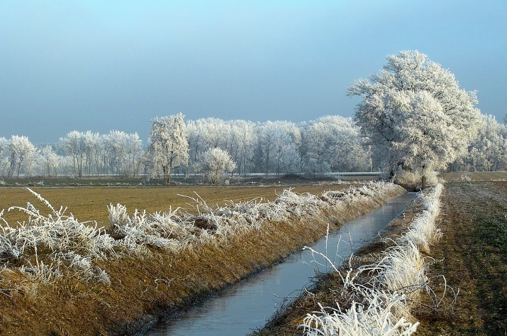 Frostlandschaft