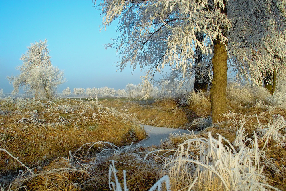 Frostmärchen