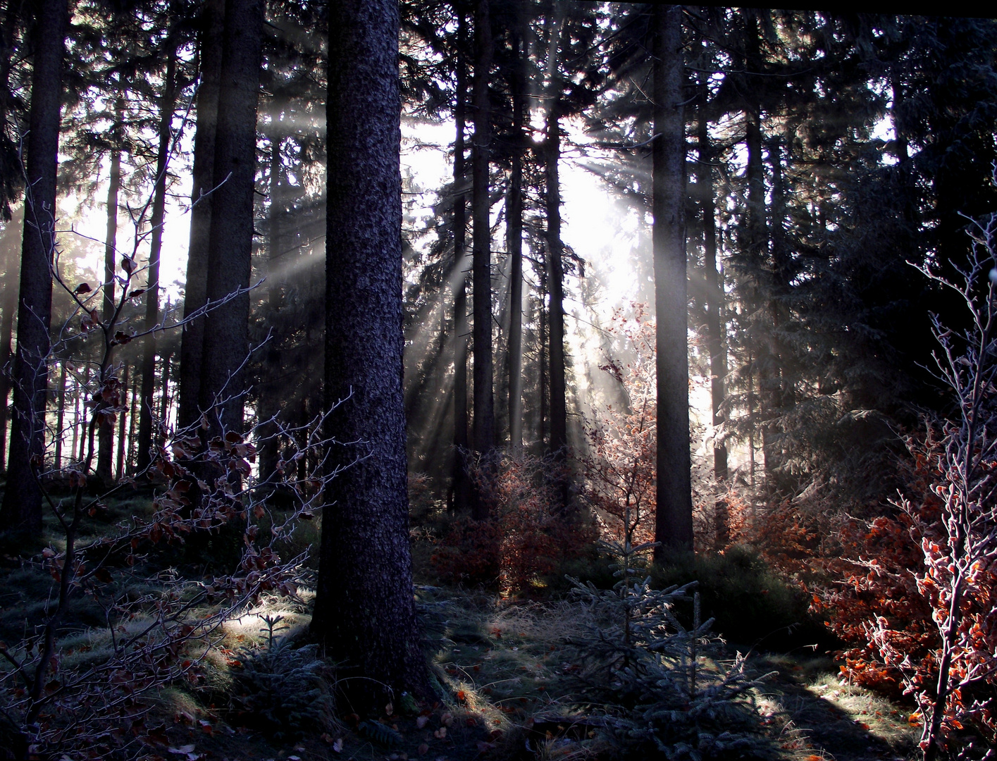 Frostmorgen am Waldstein