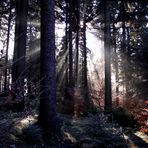 Frostmorgen am Waldstein