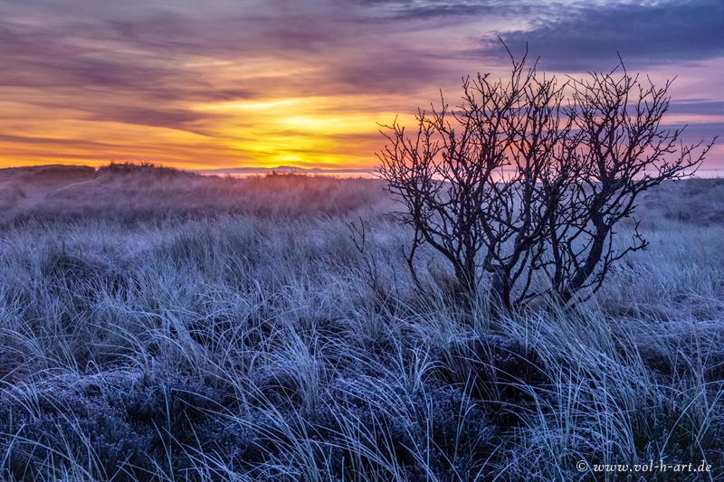 Frostmorgen