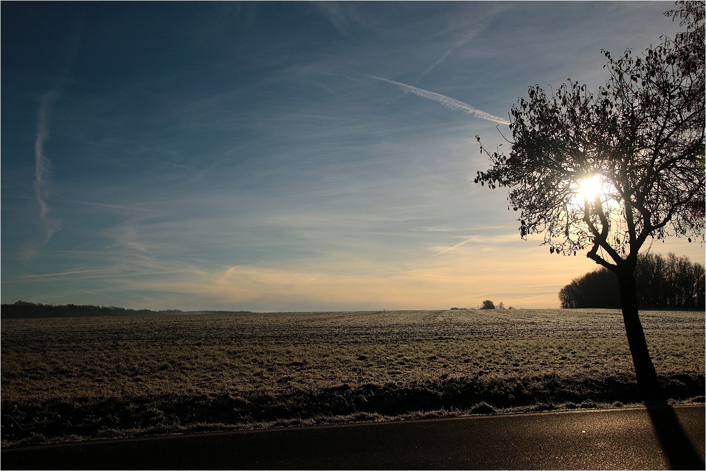 Frostmorgen