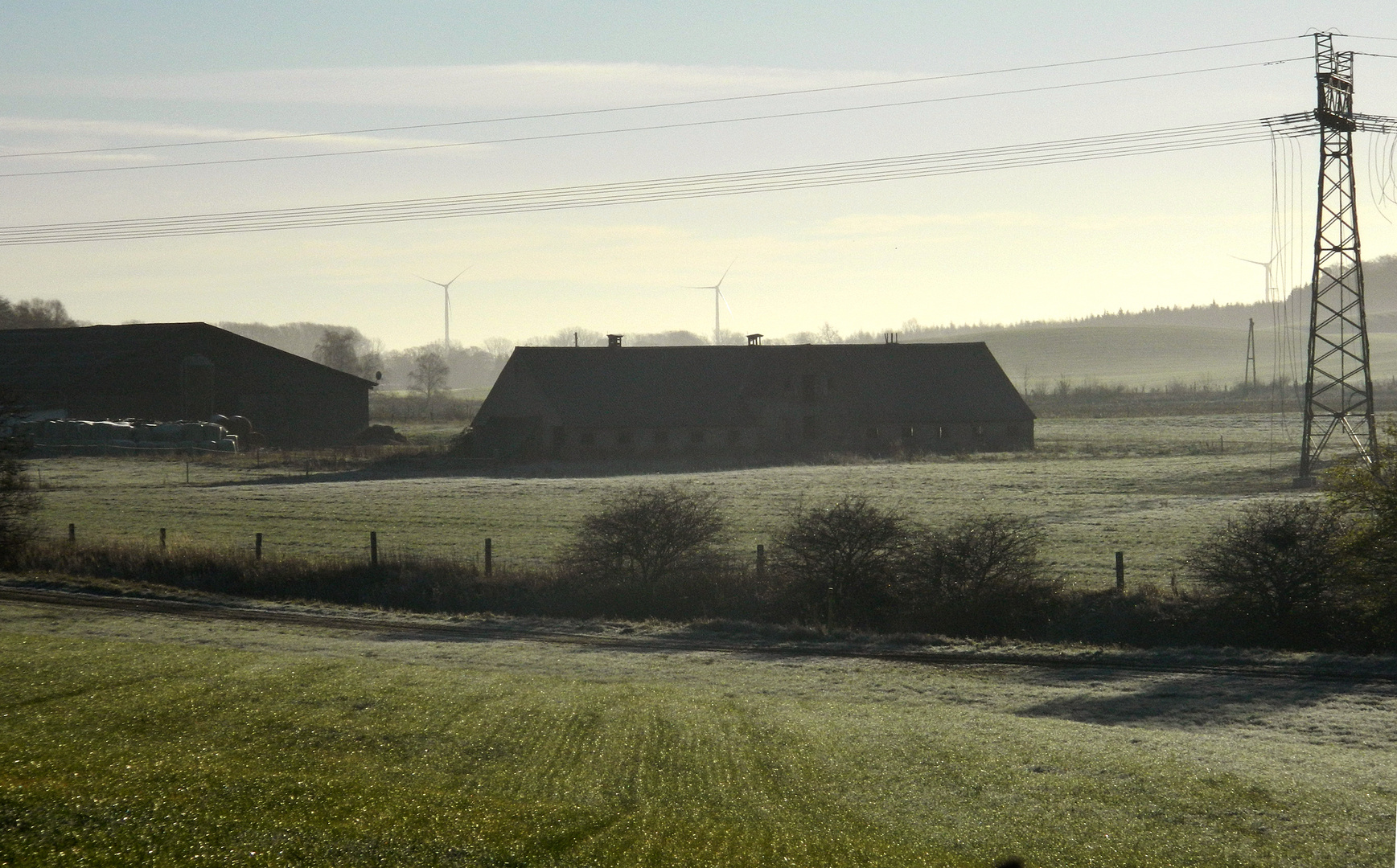 Frostmorgen