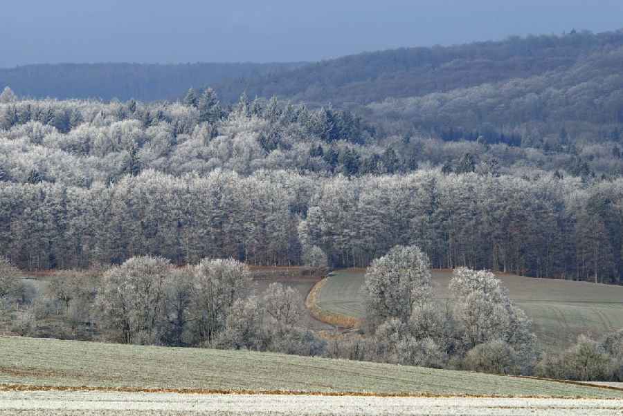 Frostnächte