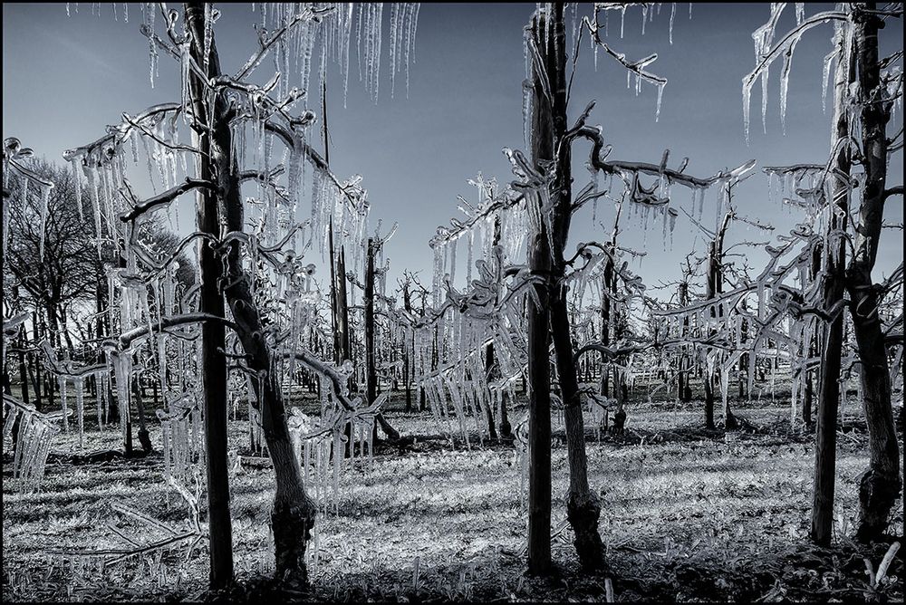 Frostschutz ...