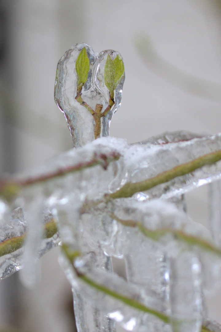 Frostschutzschicht