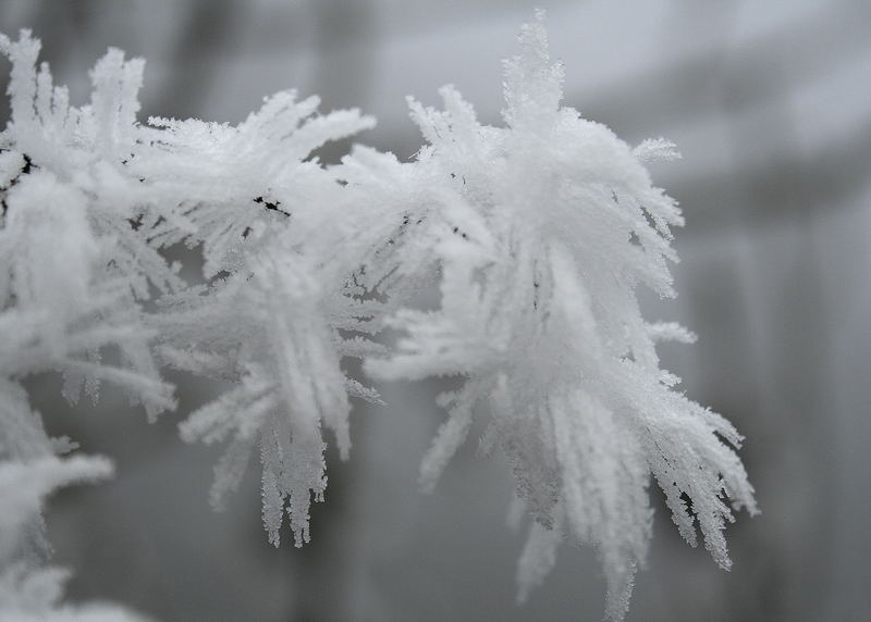 Frostskulpturen