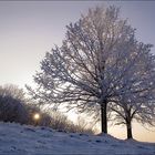 "Frostsonne" für Melanie