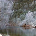 Frosttag am Lunzer See