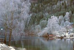 Frosttag am Lunzer See