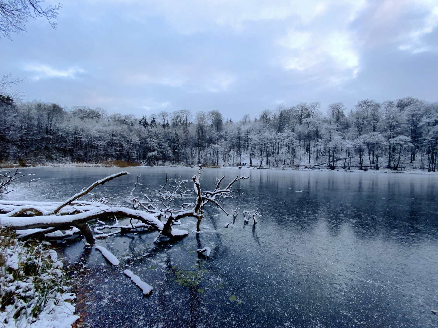 Frosttag am See