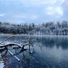 Frosttag am See