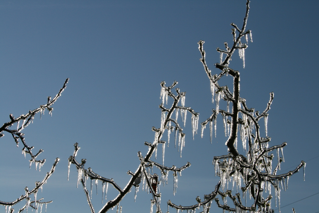 Frostwarnung