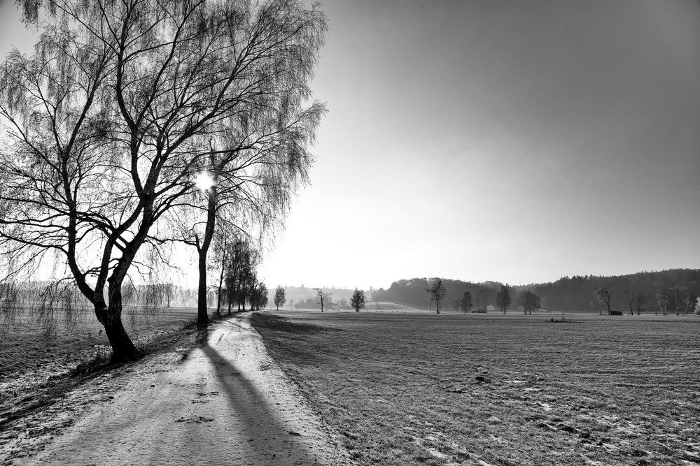 Frostweg