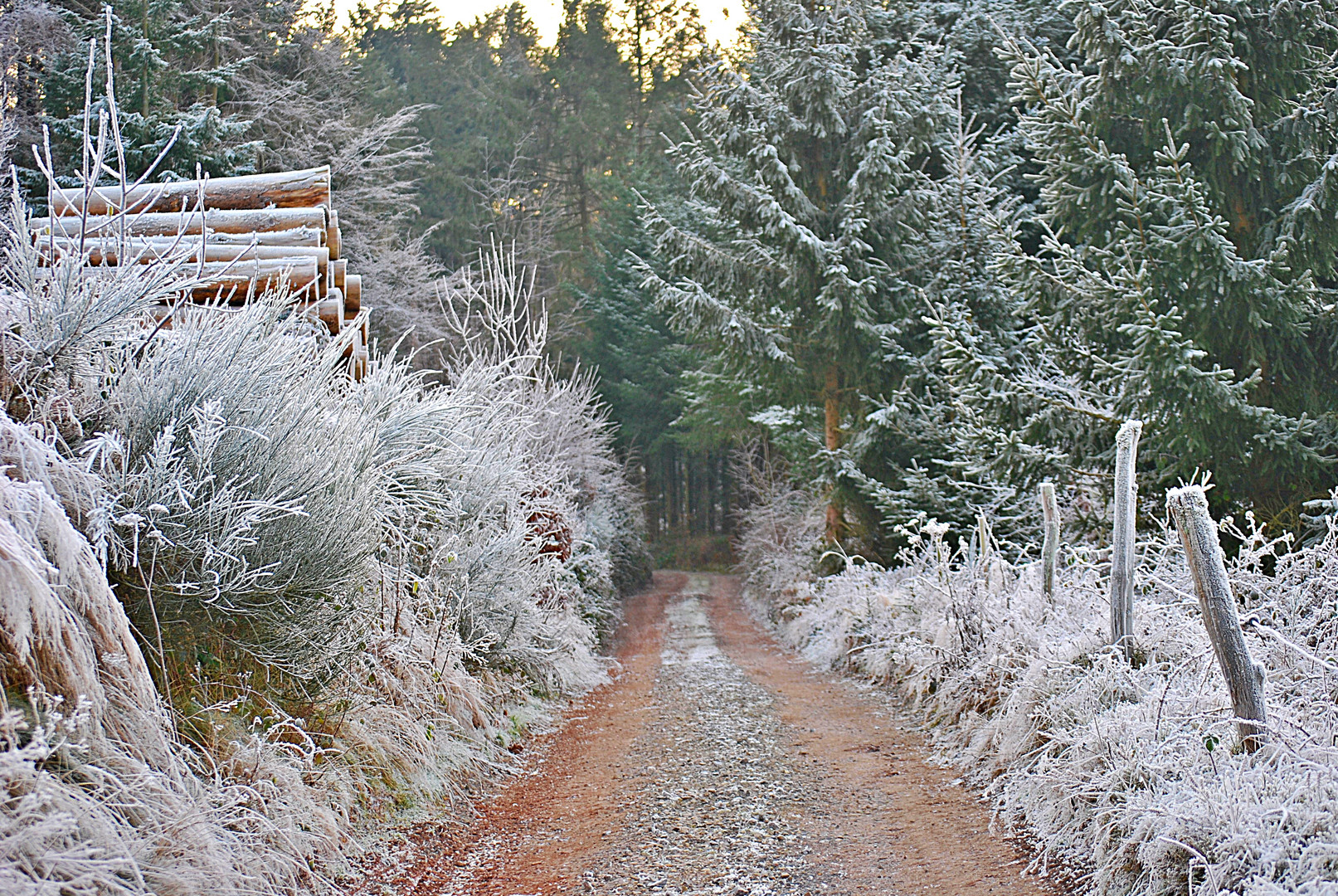 Frostweg...