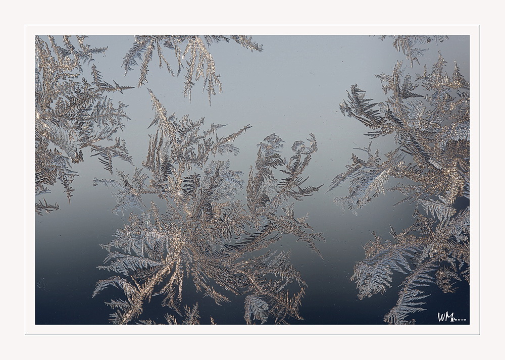 Frostwork