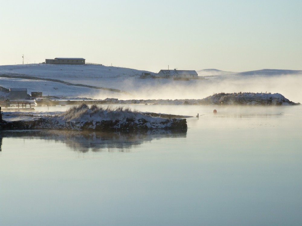 Frosty and foggy morning