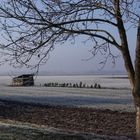 Frosty day in Brandenburg