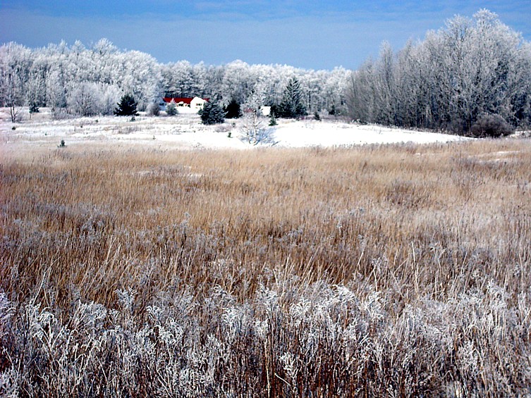 Frosty Field in New England