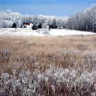 Frosty Field in New England