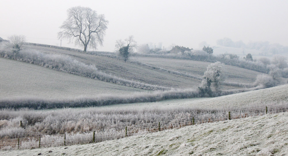 Frosty Fields