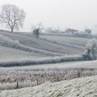 Frosty Fields