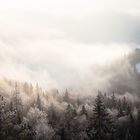 Frosty Fog Panorama