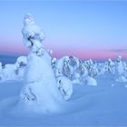 Frosty Hoodoo