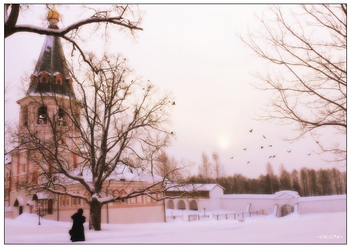 Frosty January day