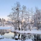 Frosty lake