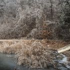 Frosty Lake