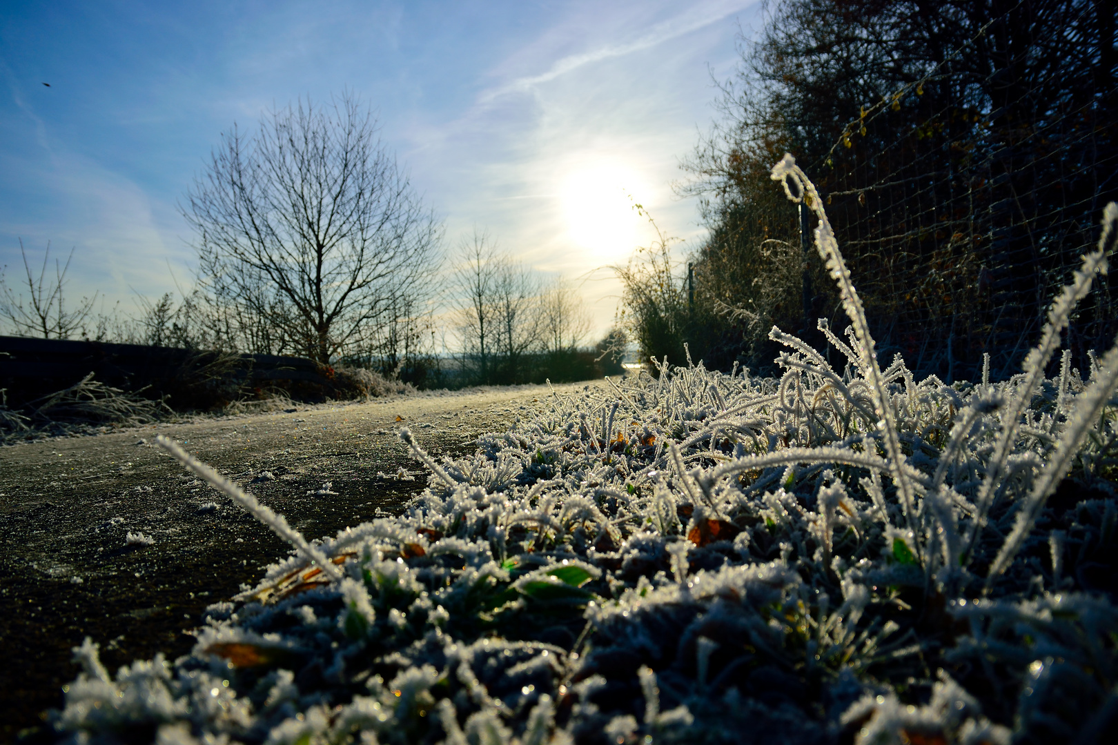 Frosty Mainfranken - 1