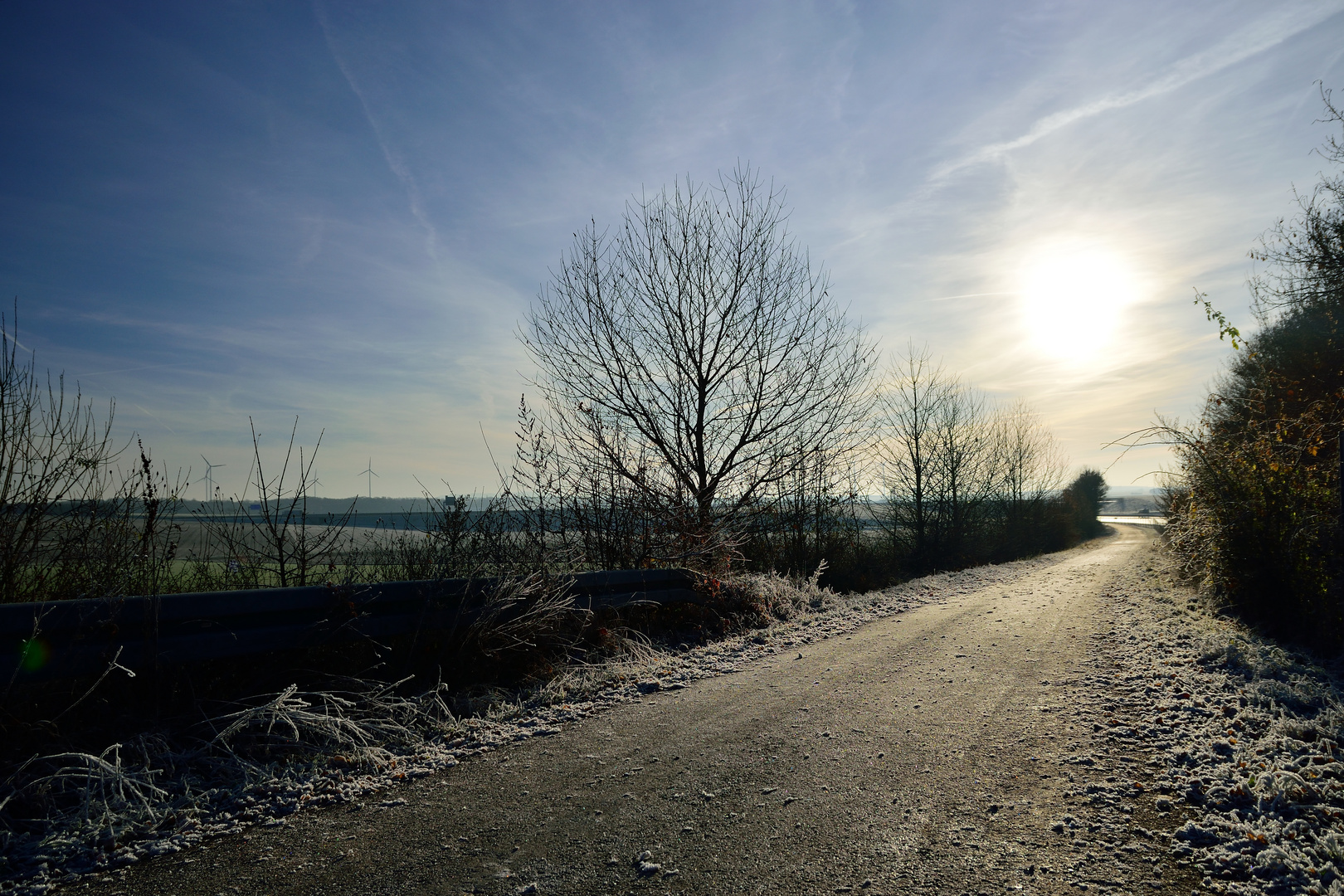 Frosty Mainfranken - 2