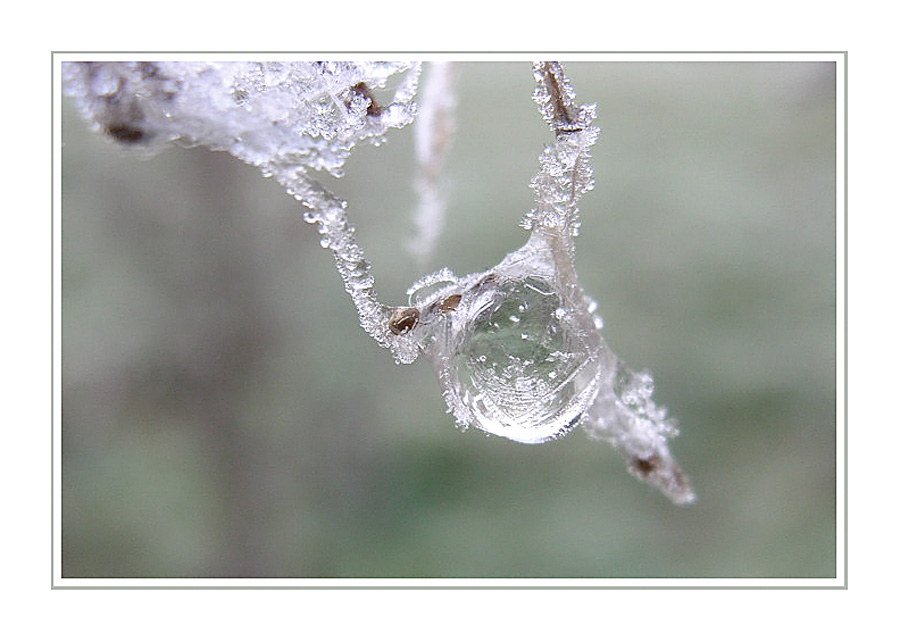 Frosty Moments II