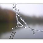 Frosty Moments XII