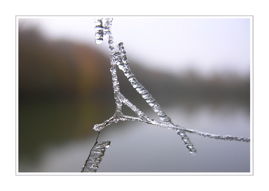 Frosty Moments XII