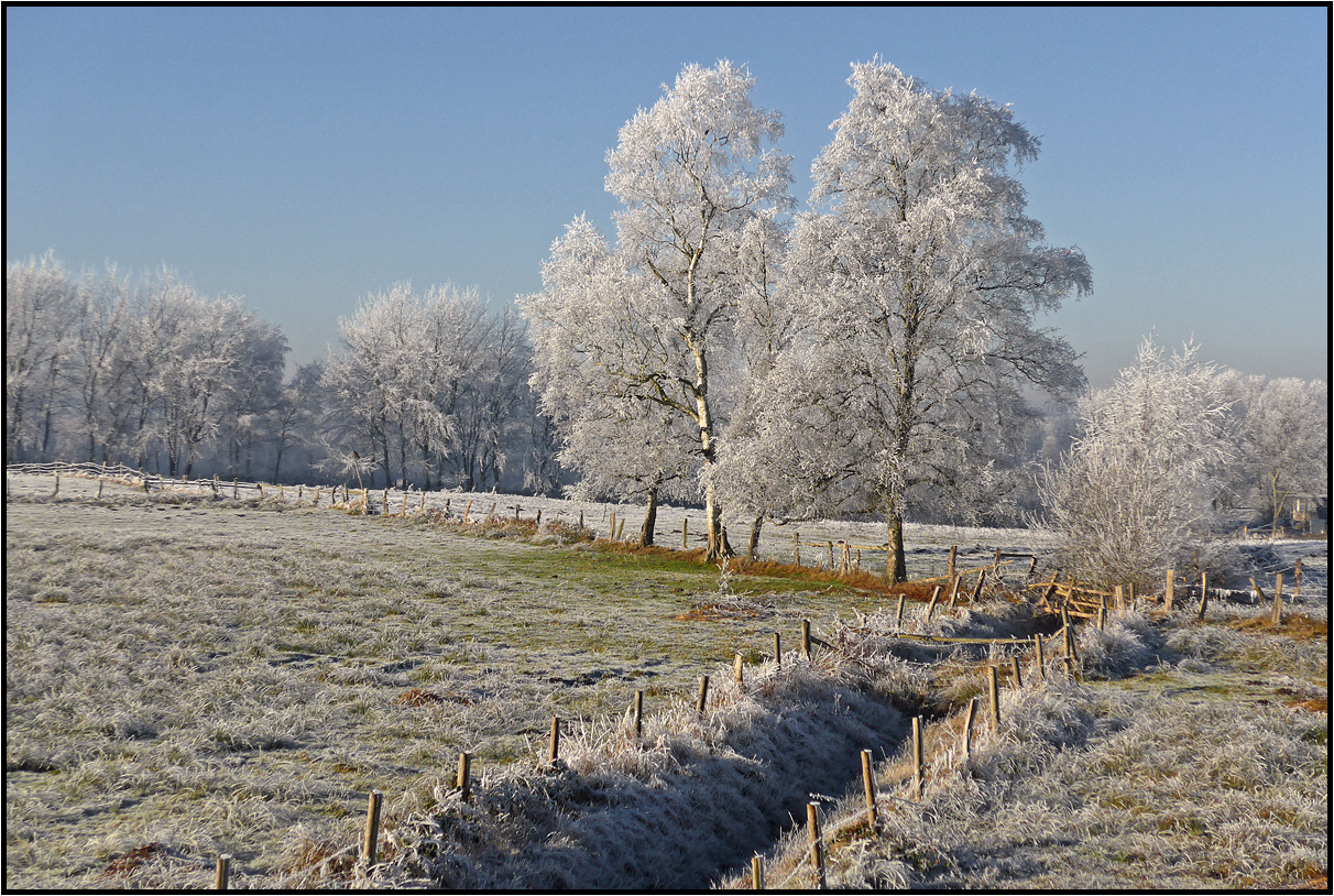 frosty morning photo & image | nature, cold, meadow images at photo